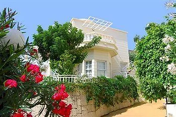 Adonis Castalia-brezos Appartement Costa Adeje (Tenerife)